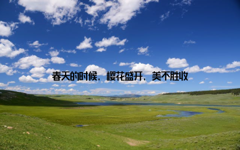 春天的时候, 樱花盛开, 美不胜收