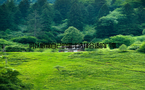 可以根据自己的需求选择合适的门票