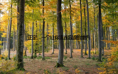 正定, 一个让你流连忘返的地方