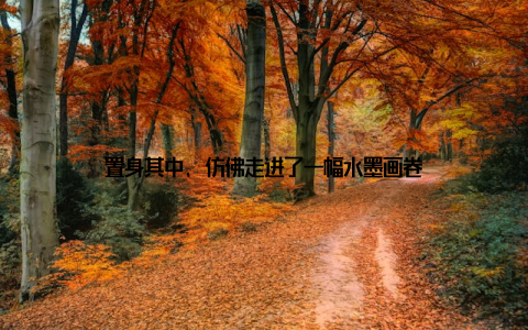 置身其中, 仿佛走进了一幅水墨画卷