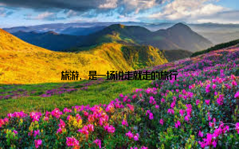旅游, 是一场说走就走的旅行