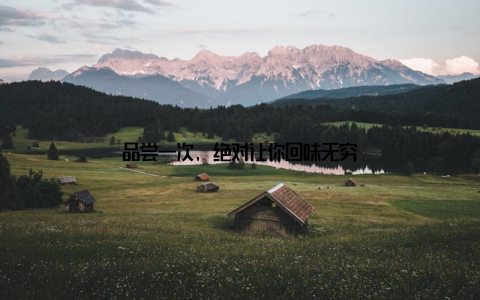 品尝一次, 绝对让你回味无穷