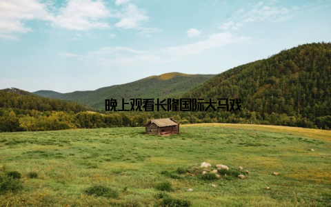 – 晚上观看长隆国际大马戏