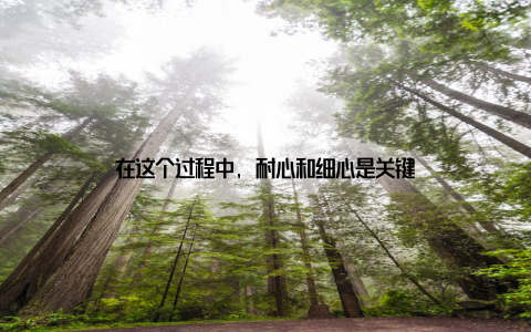 在这个过程中, 耐心和细心是关键