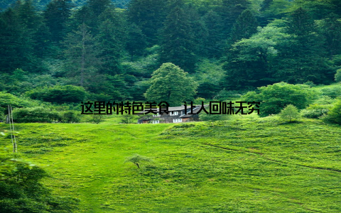 这里的特色美食, 让人回味无穷