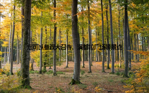 您可以参观大召寺、满都拉广场等景点