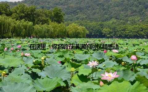 在这里, 你将收获满满的回忆和感动