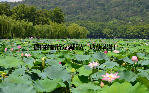 愿你的旅行充满阳光, 收获满满!