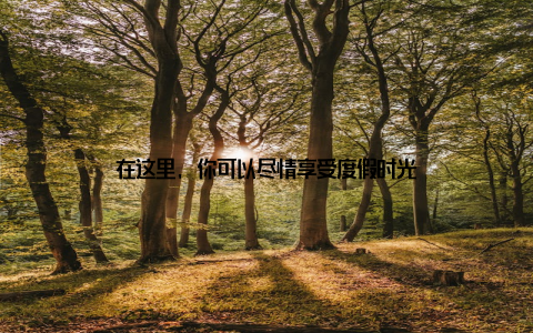 在这里, 你可以尽情享受度假时光