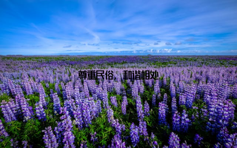 尊重民俗, 和谐相处